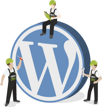 assistenza wordpress, temi e plugins personalizzati