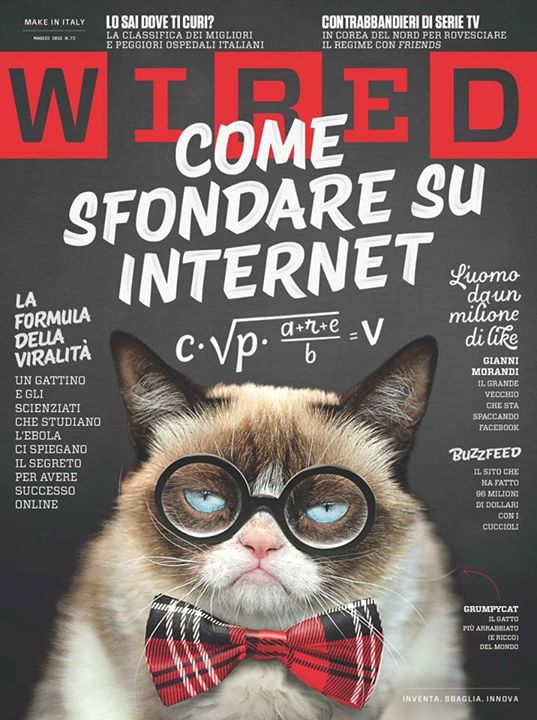 Come fa un contenuto a diventare virale sul web?