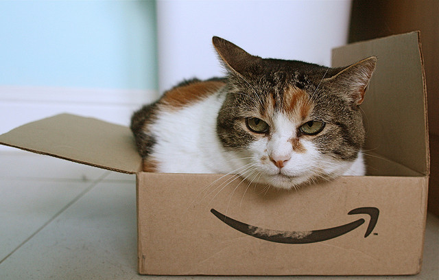 amazon cat